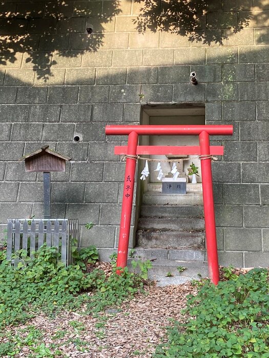 画像369